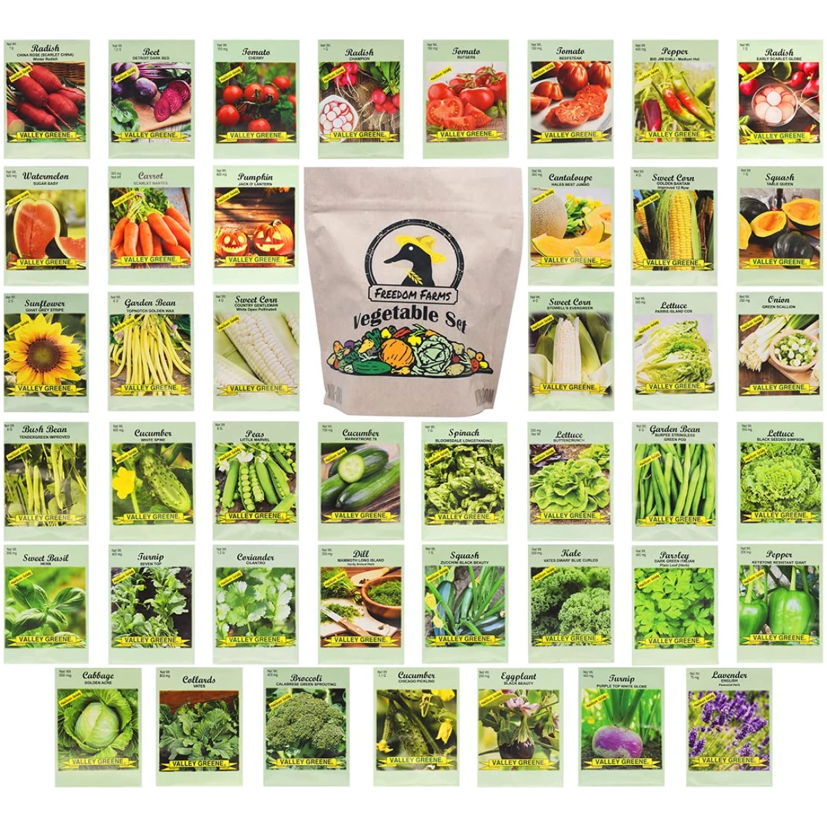 Set of 43 Assorted Vegetable & Herb Seed Packets - Over 10,000 Seeds! - Includes Mylar Storage Bag - Deluxe Garden Heirloom Seeds - 100% Non-GMO