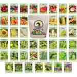 Set of 43 Assorted Vegetable & Herb Seed Packets - Over 10,000 Seeds! - Includes Mylar Storage Bag - Deluxe Garden Heirloom Seeds - 100% Non-GMO
