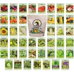 Set of 43 Assorted Vegetable & Herb Seed Packets - Over 10,000 Seeds! - Includes Mylar Storage Bag - Deluxe Garden Heirloom Seeds - 100% Non-GMO