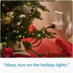Smart Plug | Works with Alexa | Simple setup, endless possibilities