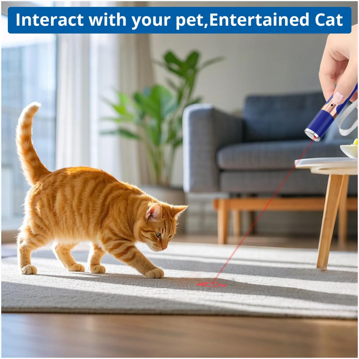 TBTeek Cat Toys for Indoor Cats, 2 Pieces, Rechargeable, 7 Adjustable Patterns, Interactive Kitten Pet Dog Red Dot Chase Light Toy for Cats Fun Playing Exercise（Blue）