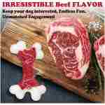 Tough Dog Toys, Toys for Aggressive Chewers Large Breed, Chew Dogs, Bone Toy Nylon Dogs Almost Indestructible