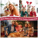 Tough Dog Toys, Toys for Aggressive Chewers Large Breed, Chew Dogs, Bone Toy Nylon Dogs Almost Indestructible