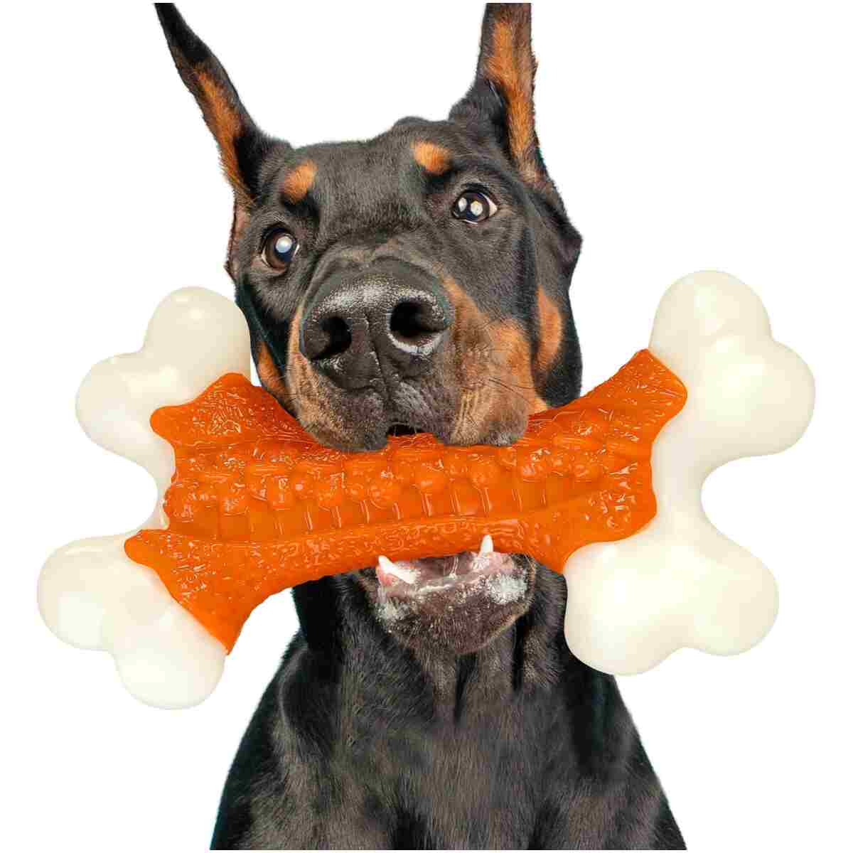 Tough Dog Toys, Toys for Aggressive Chewers Large Breed, Chew Dogs, Bone Toy Nylon Dogs Almost Indestructible