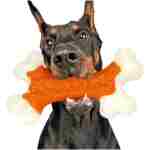Tough Dog Toys, Toys for Aggressive Chewers Large Breed, Chew Dogs, Bone Toy Nylon Dogs Almost Indestructible