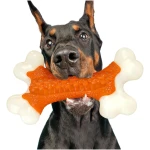 Tough Dog Toys, Toys for Aggressive Chewers Large Breed, Chew Dogs, Bone Toy Nylon Dogs Almost Indestructible