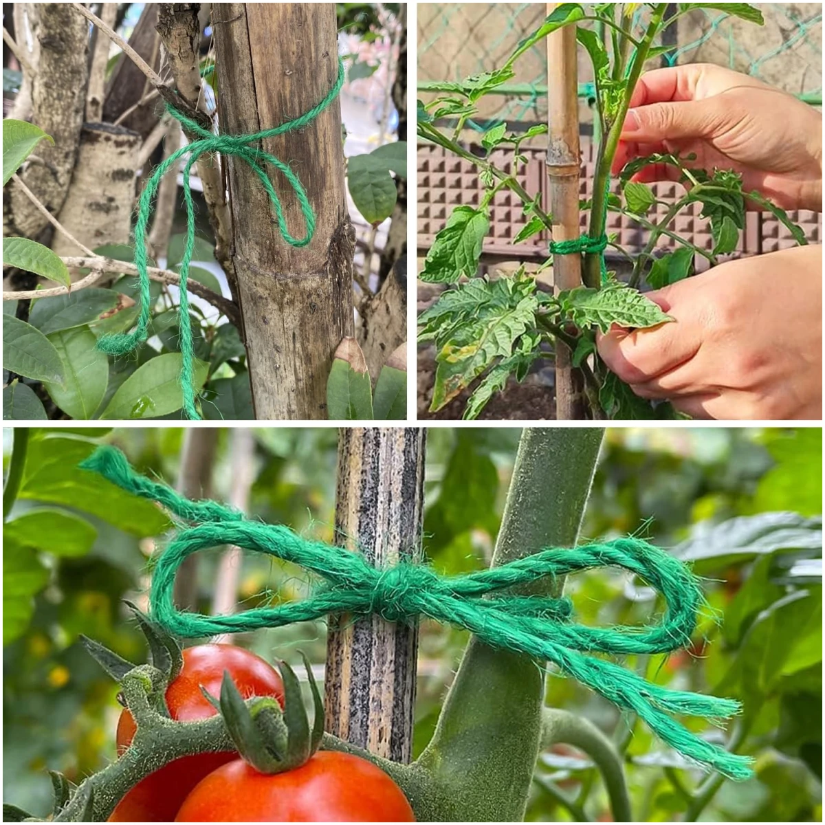 Vanhench 805ft Garden Twine, Green Twine String for Gardening Tomato Climbing Plant Tie Floristry Arts & Crafts Supplies, Hanging Planter Basket, Greenhouse Plant Accessories...