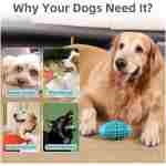 WinTour Tough Dog Toys for Aggressive Chewers, Indestructible Dog Chewers for Medium & Large Breeds, Squeaky Durable Chew Toys to Keep Them Busy, Reduce Boredom, Teeth Cleaning,...