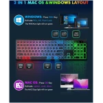 Wireless Keyboard and Mouse Combo - RGB Backlit, Rechargeable & Light Up Letters, Full-Size, Ergonomic Tilt Angle, Sleep Mode, 2.4GHz Quiet Keyboard Mouse for Mac, Windows,...