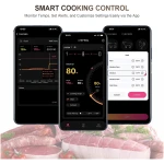 Wireless Smart Meat Thermometer with Dual-Sensor Probe, 500FT Remote Monitoring, Dedicated App, Real-Time Ambient and Food Temperature Tracking for Precise Cooking Control