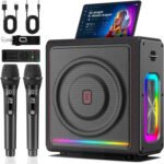 成人卡拉OK机，带低音/高音/回声调节功能，300W PA系统