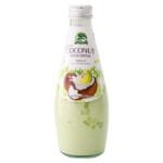 Evergreen Coconut Milk Drink Melon