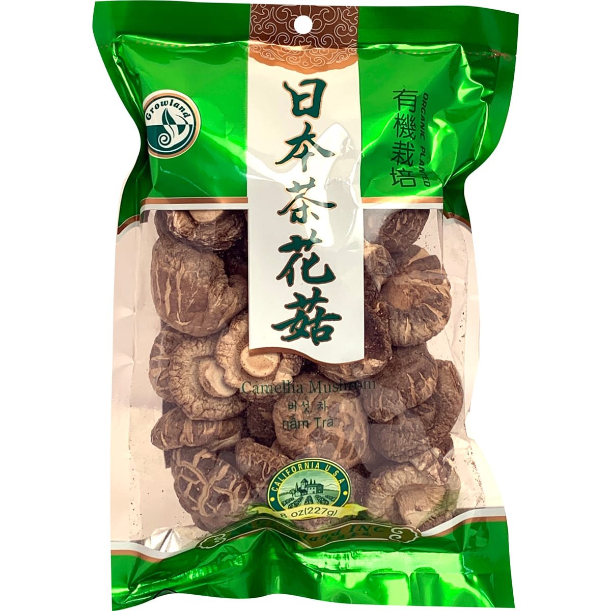 Growland Camellia Mushroom Growland Camellia Mushroom