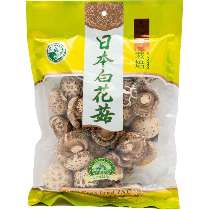 GROWLAND WHITE FLOWER MUSHROOM