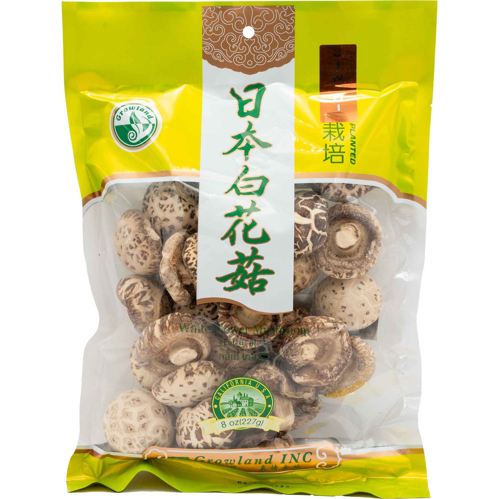 GROWLAND WHITE FLOWER MUSHROOM GROWLAND WHITE FLOWER MUSHROOM