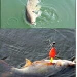 3pcs Fishing Water Monster Explosion Hook for Carp And Grass Carp - White, Flip Hook, Multiple Pieces, Silicone Material - Image 10