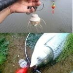 3pcs Fishing Water Monster Explosion Hook for Carp And Grass Carp - White, Flip Hook, Multiple Pieces, Silicone Material - Image 3