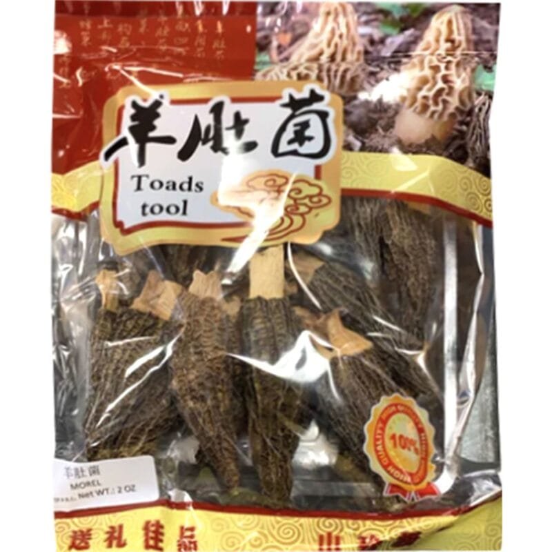 TOADS TOOL MOREL MUSHROON(MORCHELLA)